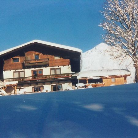 Apartmán Haus Elsa Ramsau am Dachstein Exteriér fotografie