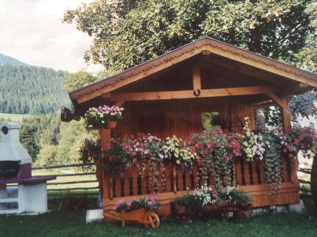 Apartmán Haus Elsa Ramsau am Dachstein Exteriér fotografie